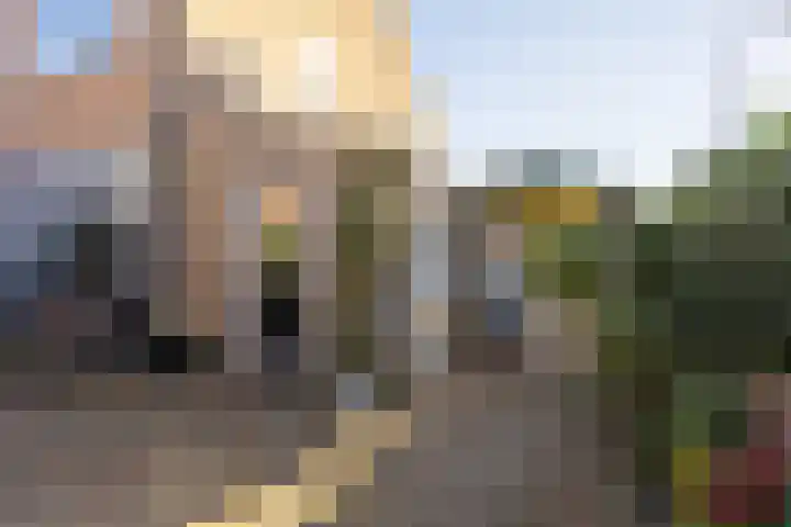 Hendrik van Naaldwijkstraat 9 Naaldwijk thumbnail 14