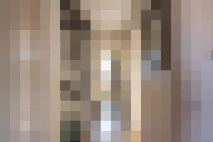 Hendrik van Naaldwijkstraat 9 Naaldwijk thumbnail 22