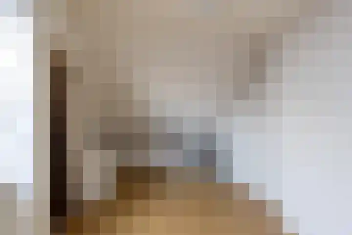 Hendrik van Naaldwijkstraat 9 Naaldwijk thumbnail 34