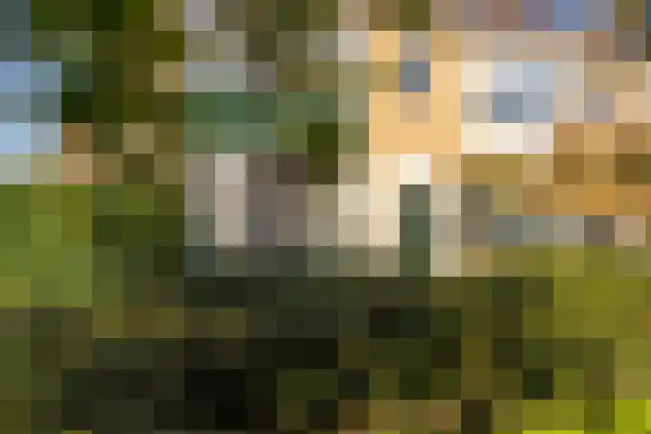 Hendrik van Naaldwijkstraat 9 Naaldwijk thumbnail 36