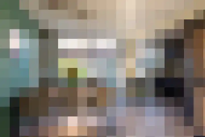 Hendrik van Naaldwijkstraat 9 Naaldwijk thumbnail 4