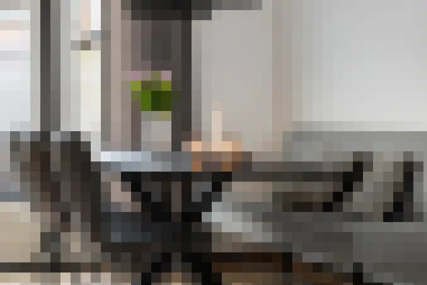 Hendrik van Nassaustraat 13 Leerdam thumbnail 17