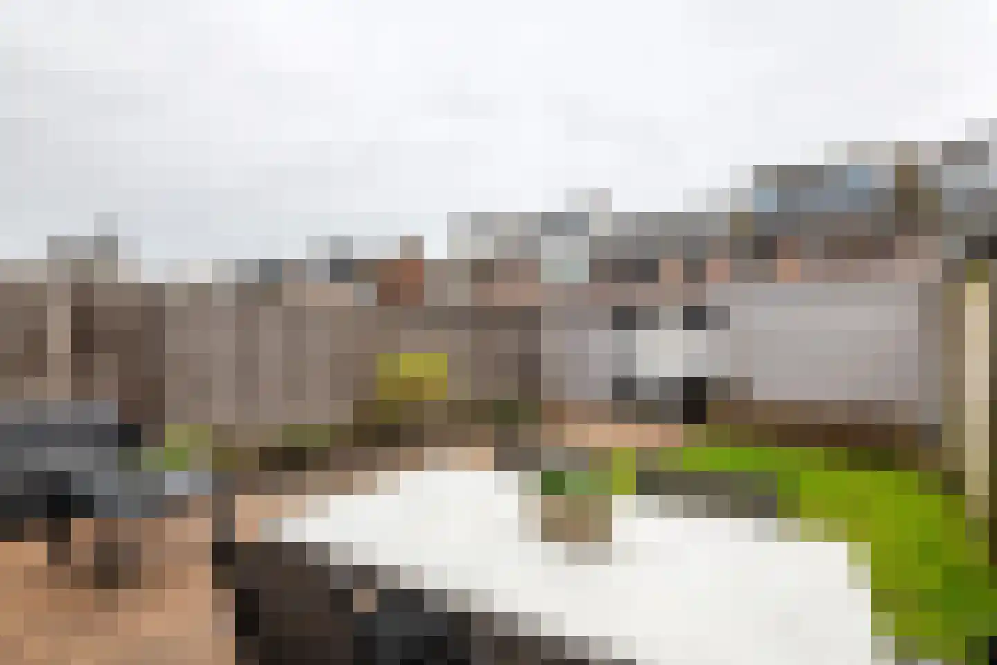 Hendrik van Nassaustraat 13 Leerdam thumbnail 23