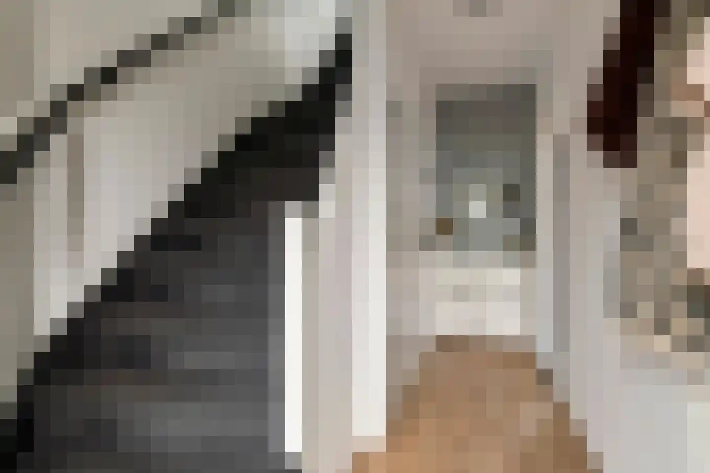 Hendrik van Nassaustraat 13 Leerdam thumbnail 25