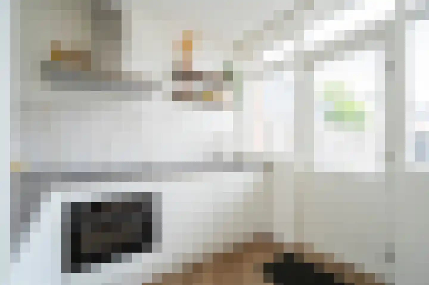 Hendrik van Nassaustraat 20 Leerdam thumbnail 9