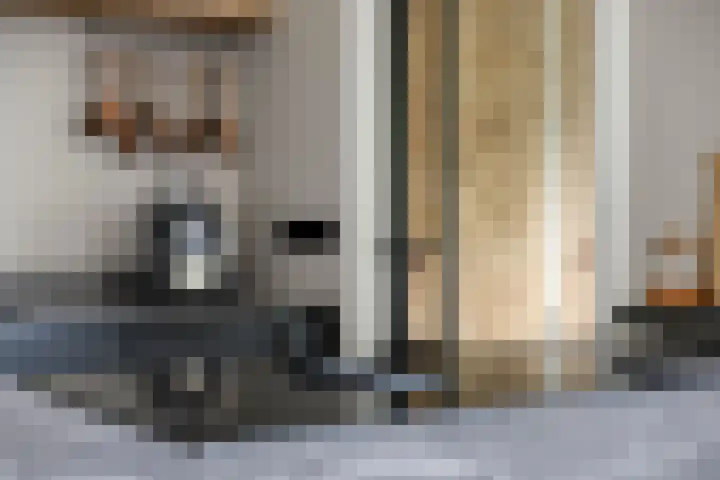 Hendrik van Nassaustraat 21 Leerdam thumbnail 16