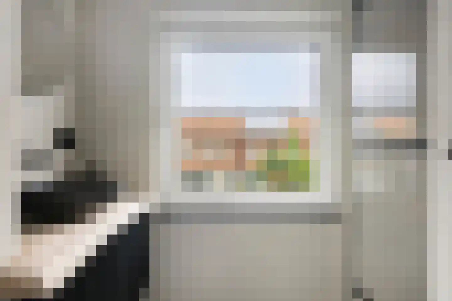 Hendrik van Nassaustraat 21 Leerdam thumbnail 24