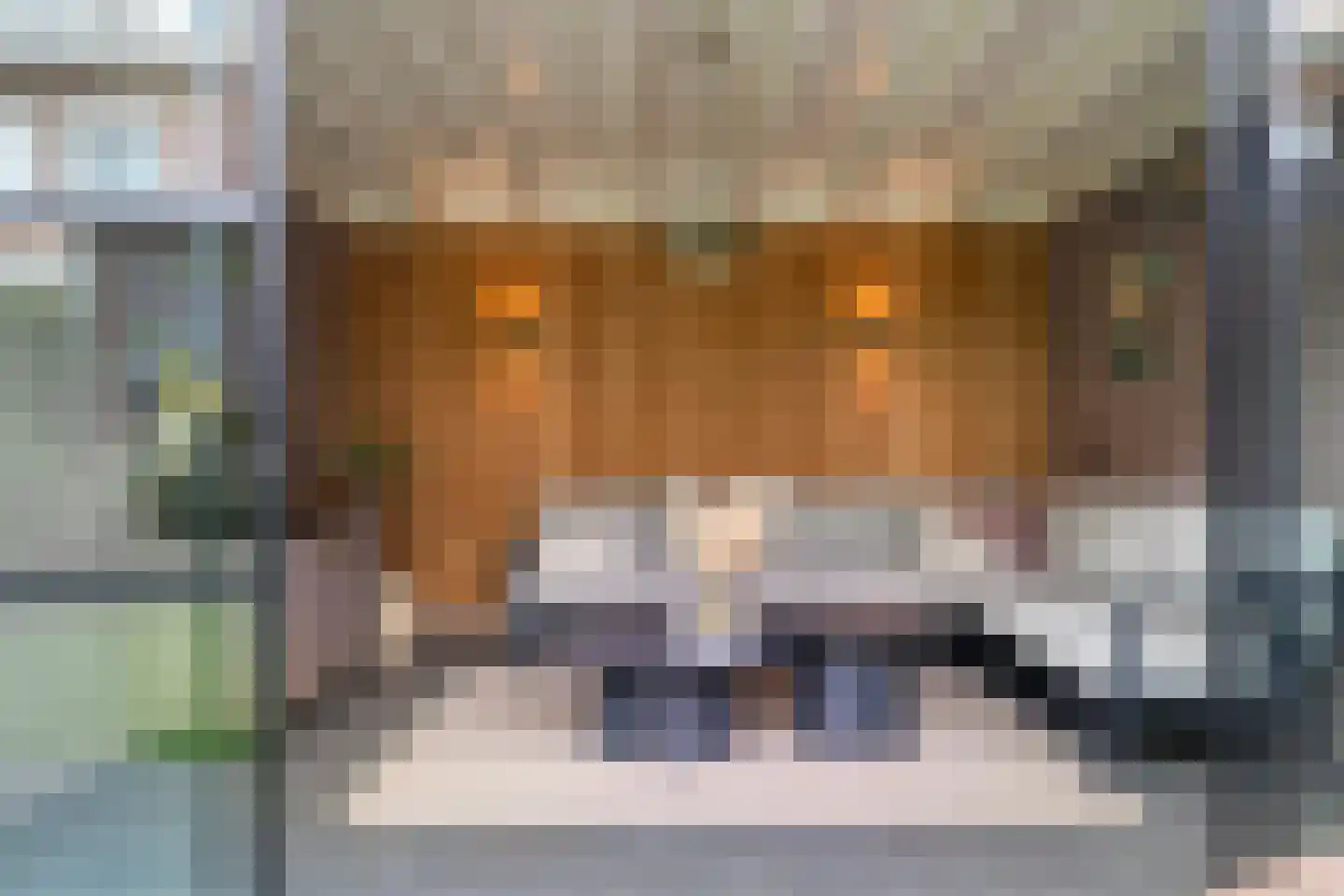 Hendrik van Nassaustraat 21 Leerdam thumbnail 32