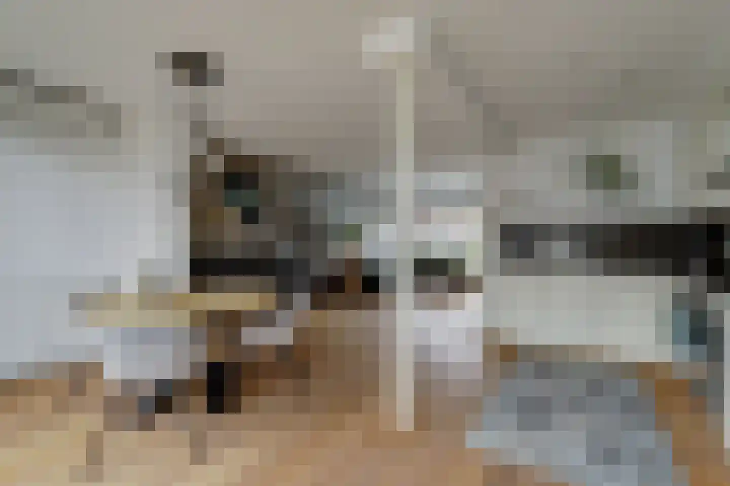 Hendrik van Nassaustraat 24 Leerdam thumbnail 11