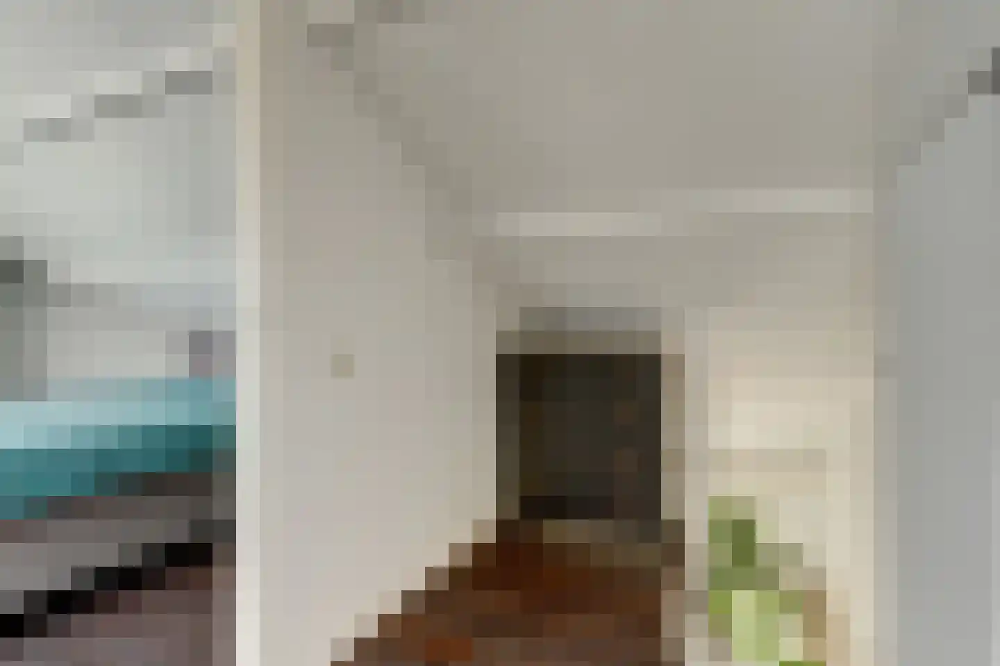 Hendrik van Nassaustraat 24 Leerdam thumbnail 24