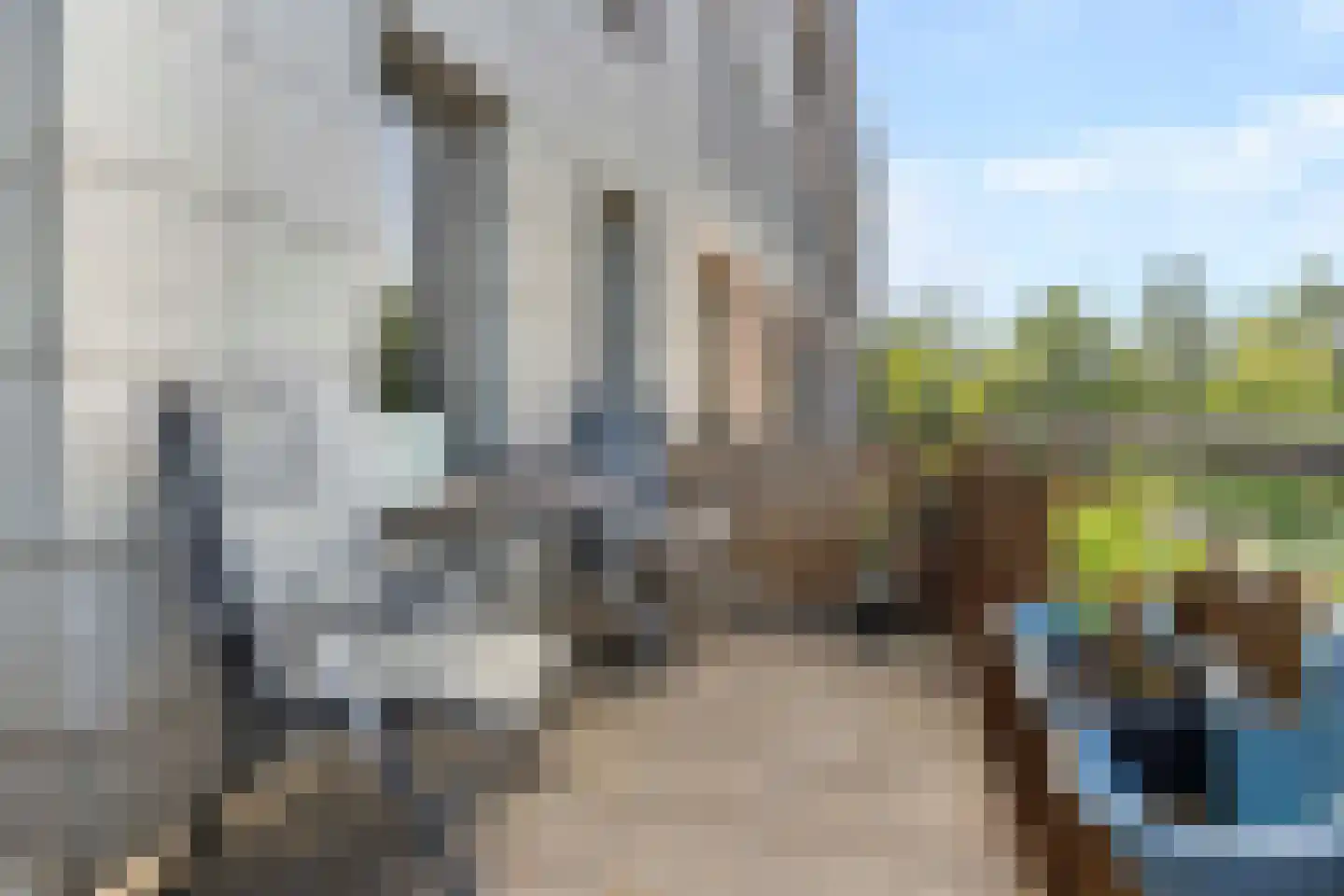 Hendrik van Noortstraat 11 Den Haag thumbnail 4