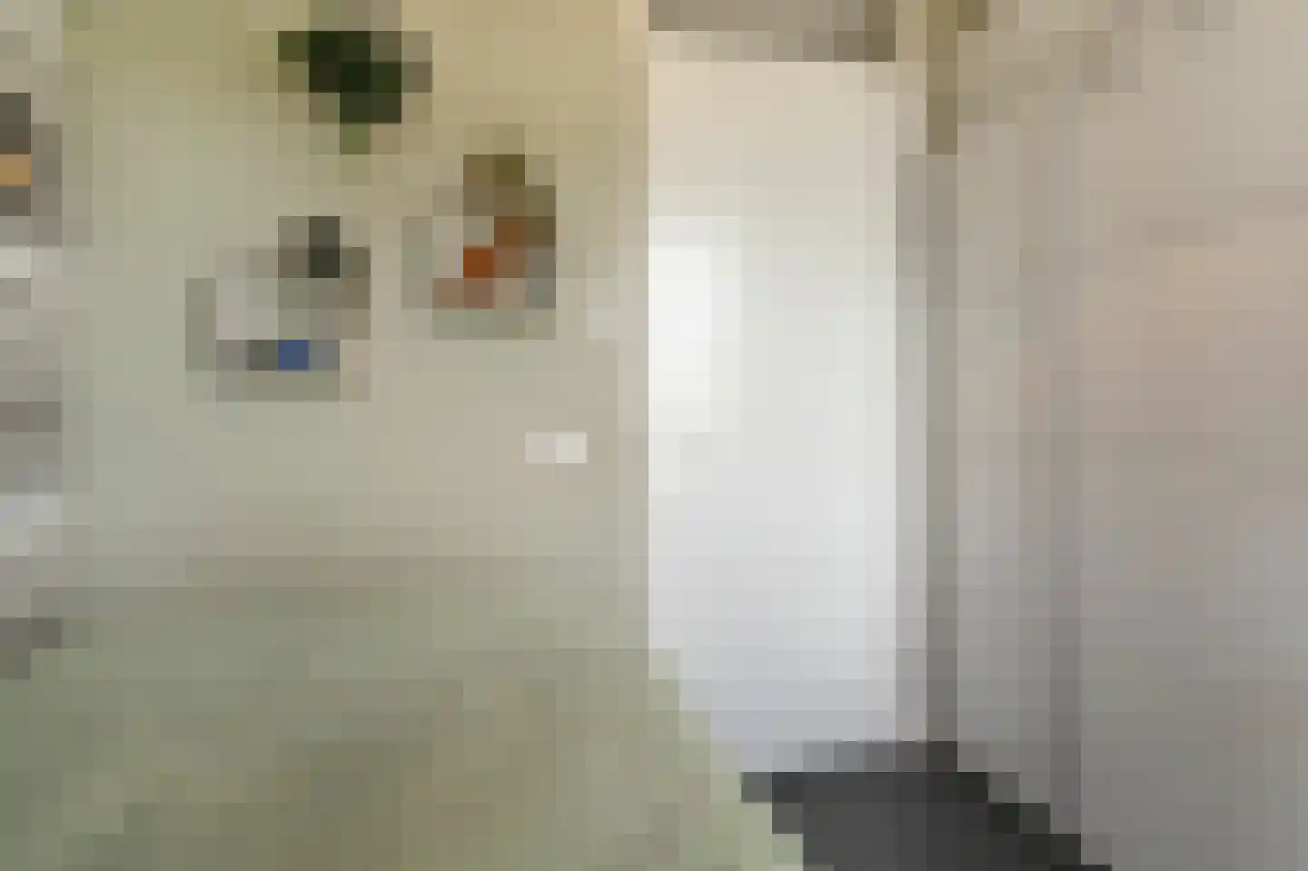 Hendrik van Noortstraat 29 Den Haag thumbnail 18
