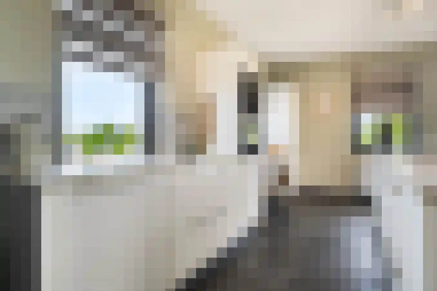 Hendrik van Noortstraat 29 Den Haag thumbnail 27