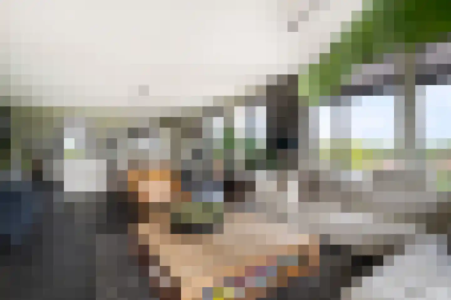 Hendrik van Noortstraat 29 Den Haag thumbnail 31