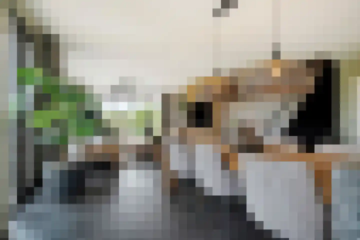Hendrik van Noortstraat 29 Den Haag thumbnail 33