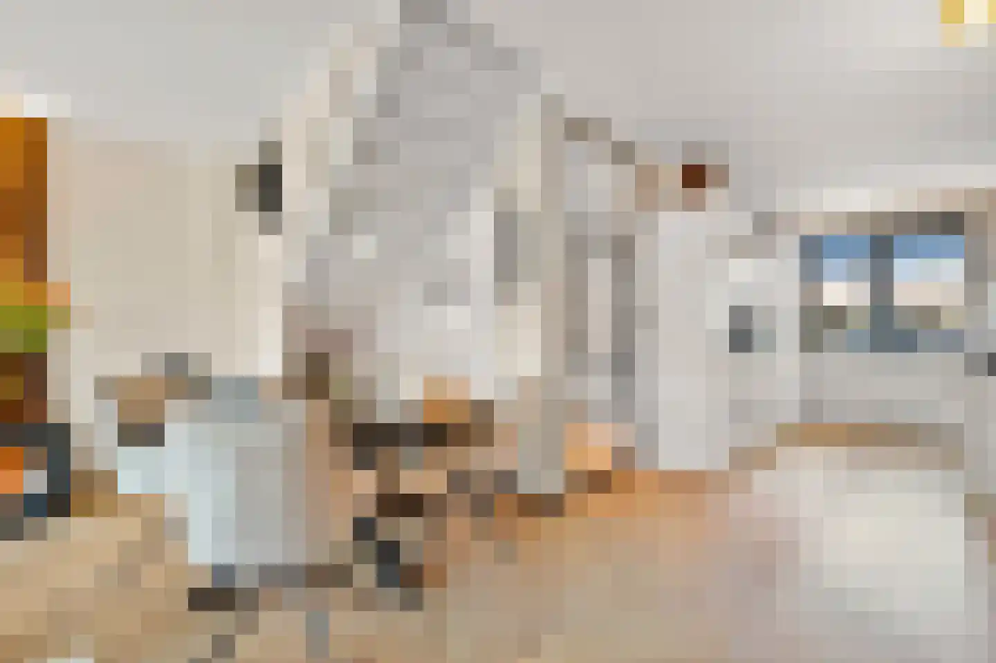 Hendrik van Noortstraat 37 Den Haag thumbnail 18