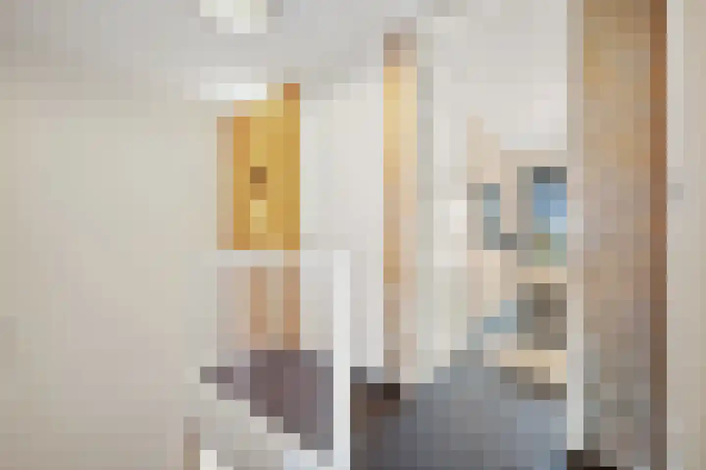 Hendrik van Noortstraat 37 Den Haag thumbnail 23