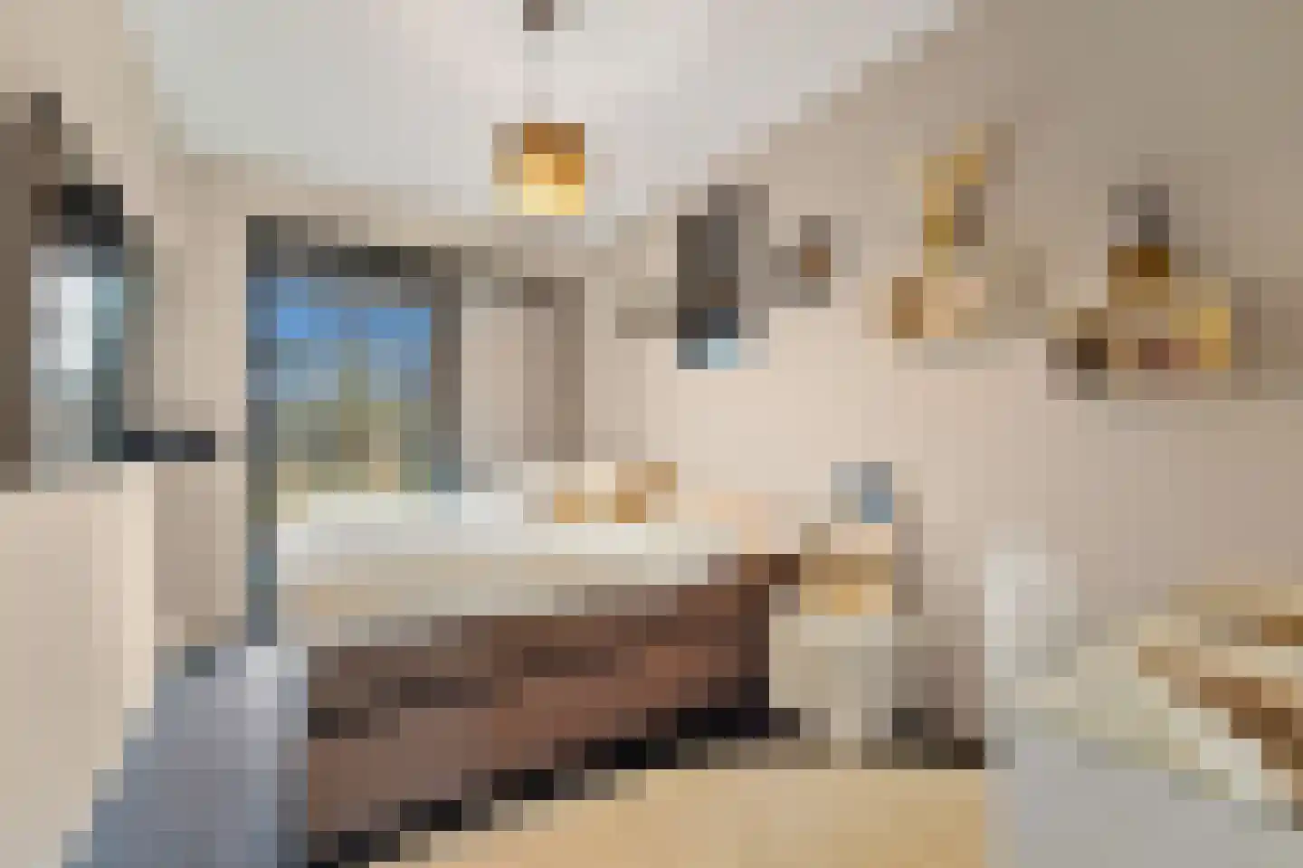 Hendrik van Noortstraat 37 Den Haag thumbnail 24