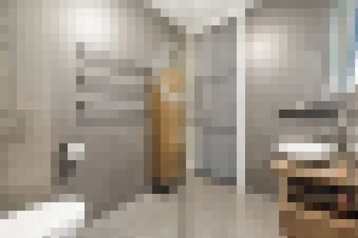 Hendrik van Noortstraat 37 Den Haag thumbnail 31