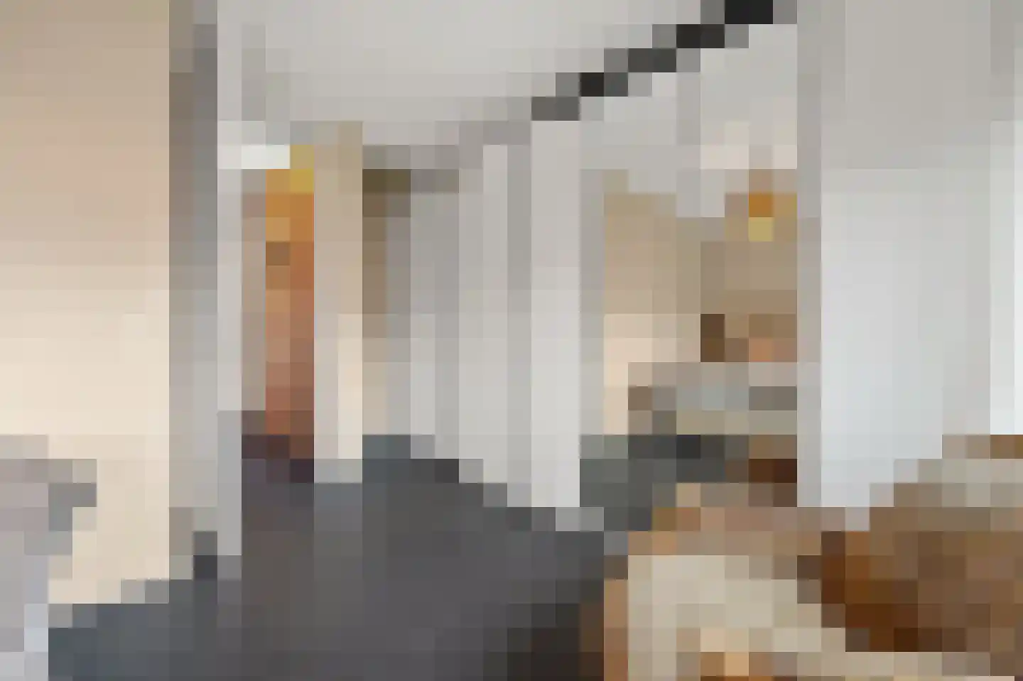 Hendrik van Noortstraat 37 Den Haag thumbnail 36