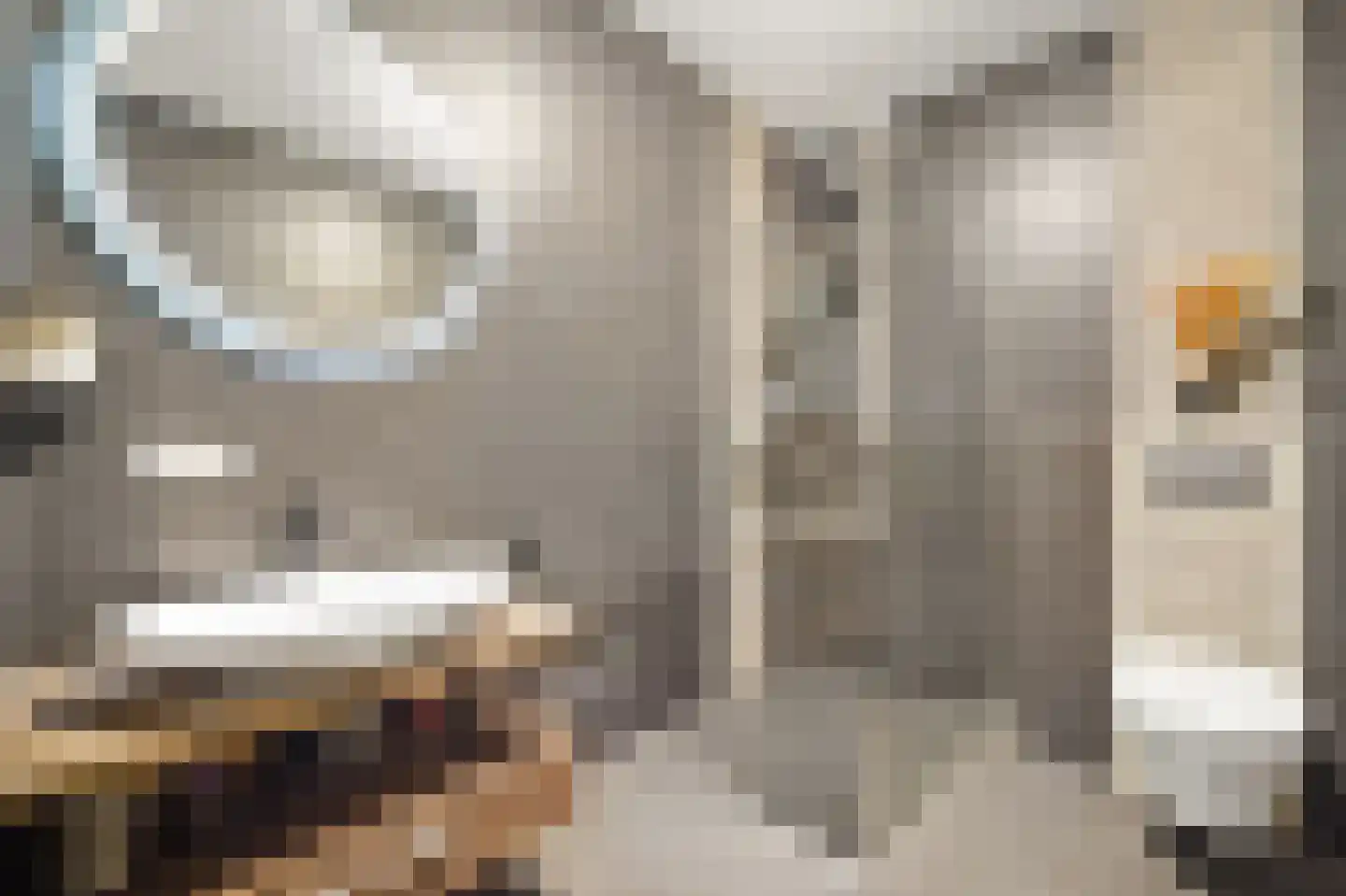 Hendrik van Noortstraat 37 Den Haag thumbnail 4