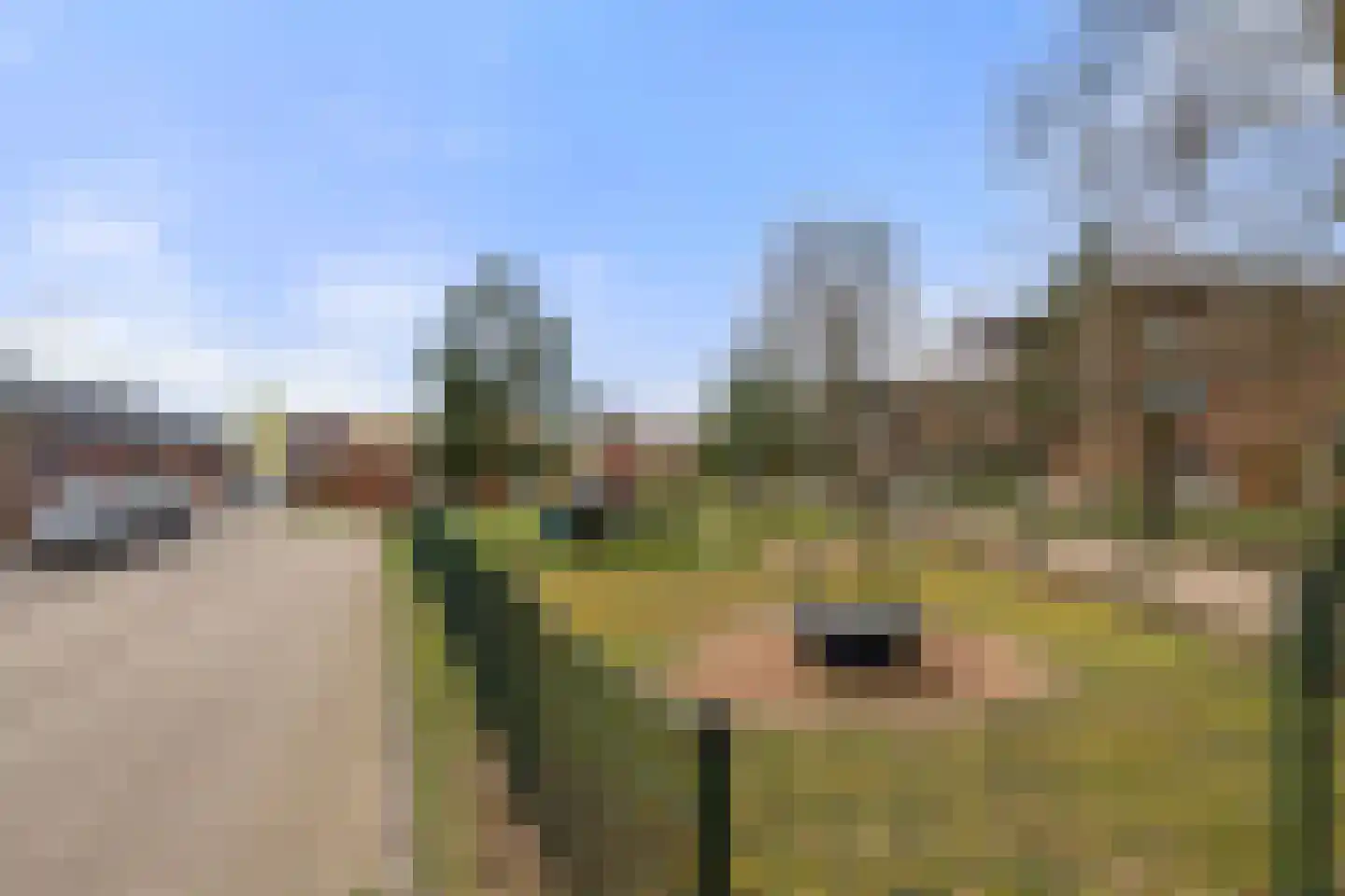 Hendrik van Poelwijcklaan 26 Bennekom thumbnail 39