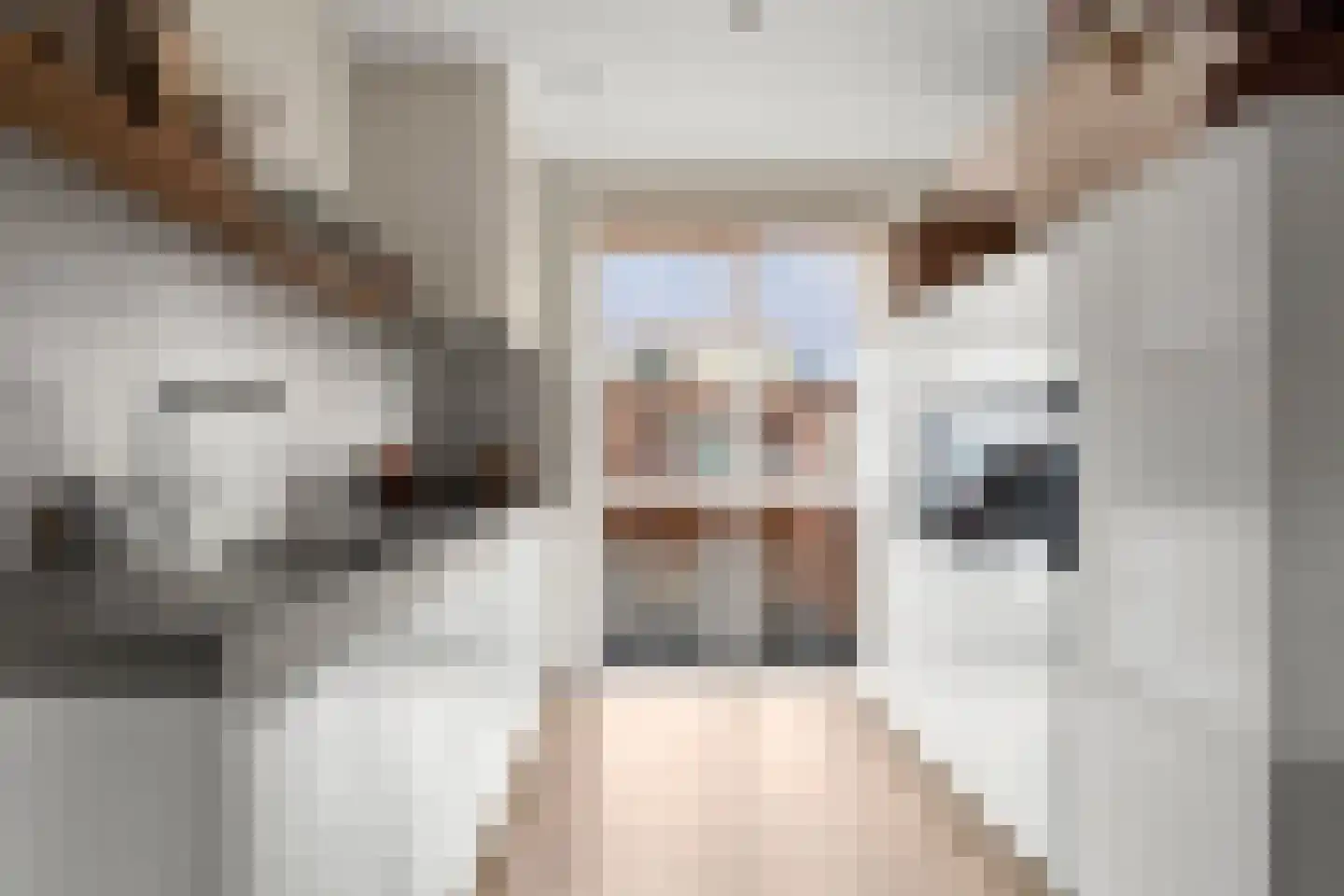 Hendrik van Poelwijcklaan 26 Bennekom thumbnail 7