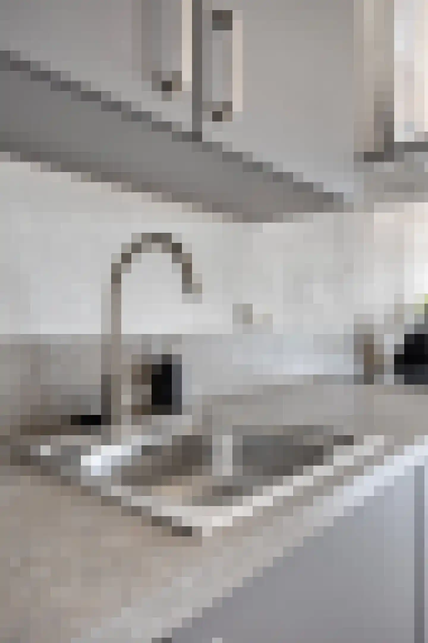 Hendrik van Tulderstraat 38 Tilburg thumbnail 22