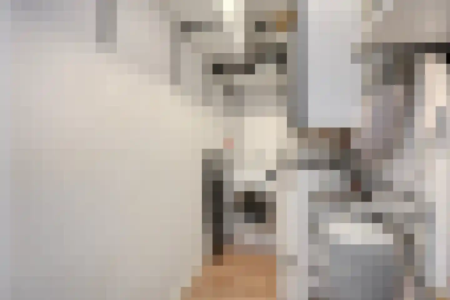Hendrik van Tulderstraat 38 Tilburg thumbnail 28