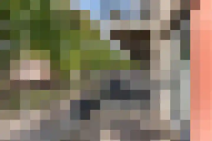 Hendrik van Tulderstraat 41 Tilburg thumbnail 19