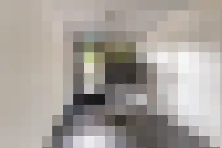Hendrik van Tulderstraat 41 Tilburg thumbnail 22
