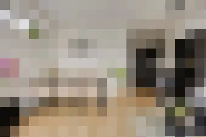 Hendrik van Tulderstraat 42 Tilburg thumbnail 4