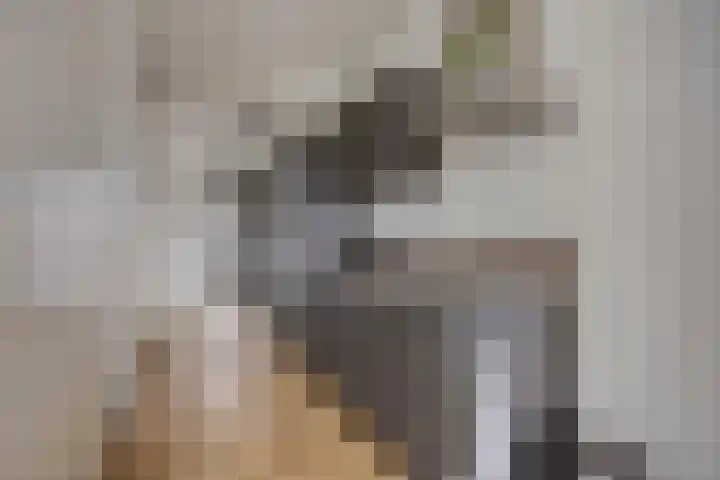 Hendrik van Tulderstraat 42 Tilburg thumbnail 5