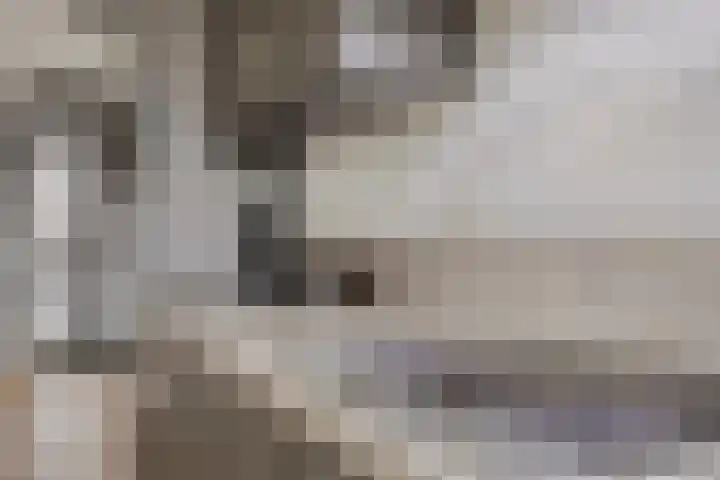 Hendrik van Tulderstraat 42 Tilburg thumbnail 6