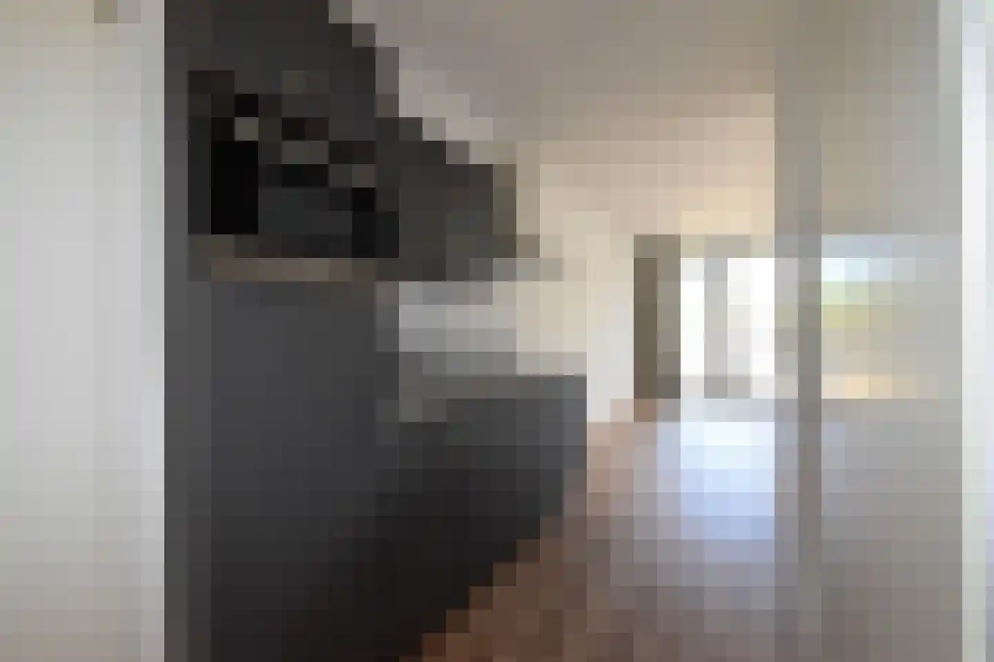 Hendrik van Tulderstraat 46 Tilburg thumbnail 9