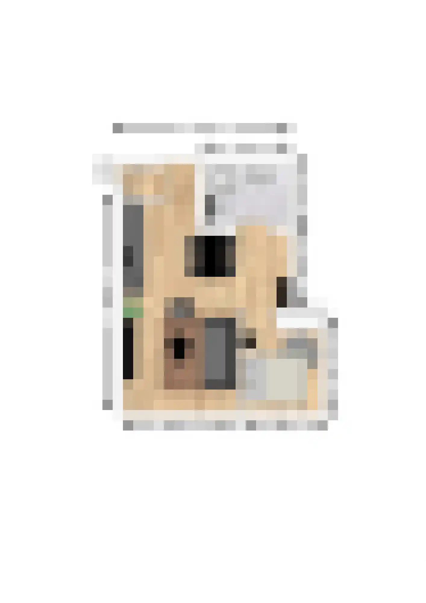 Hendrik van Tulderstraat 52 Tilburg thumbnail 12