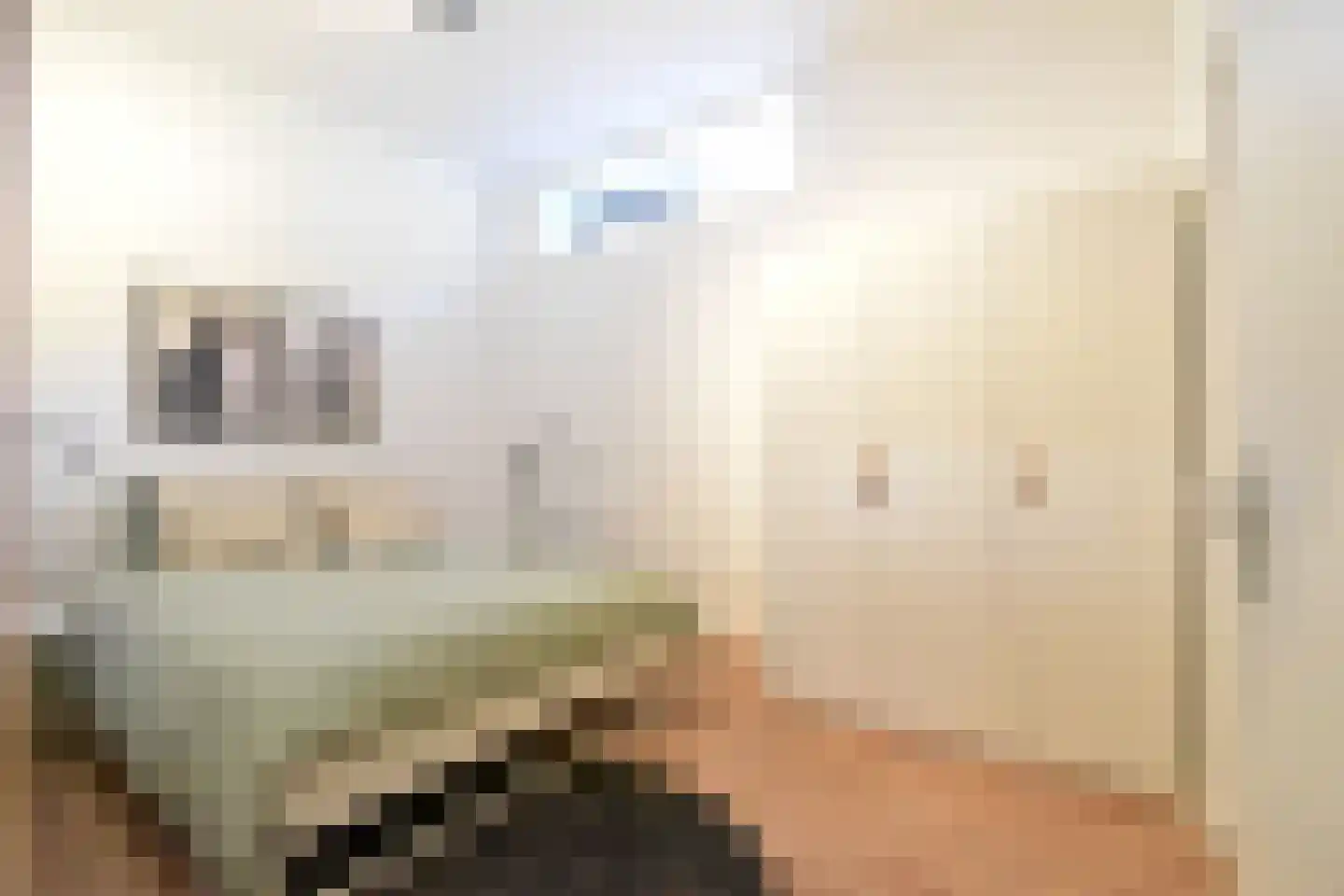 Hendrik van Tulderstraat 54 Tilburg thumbnail 10