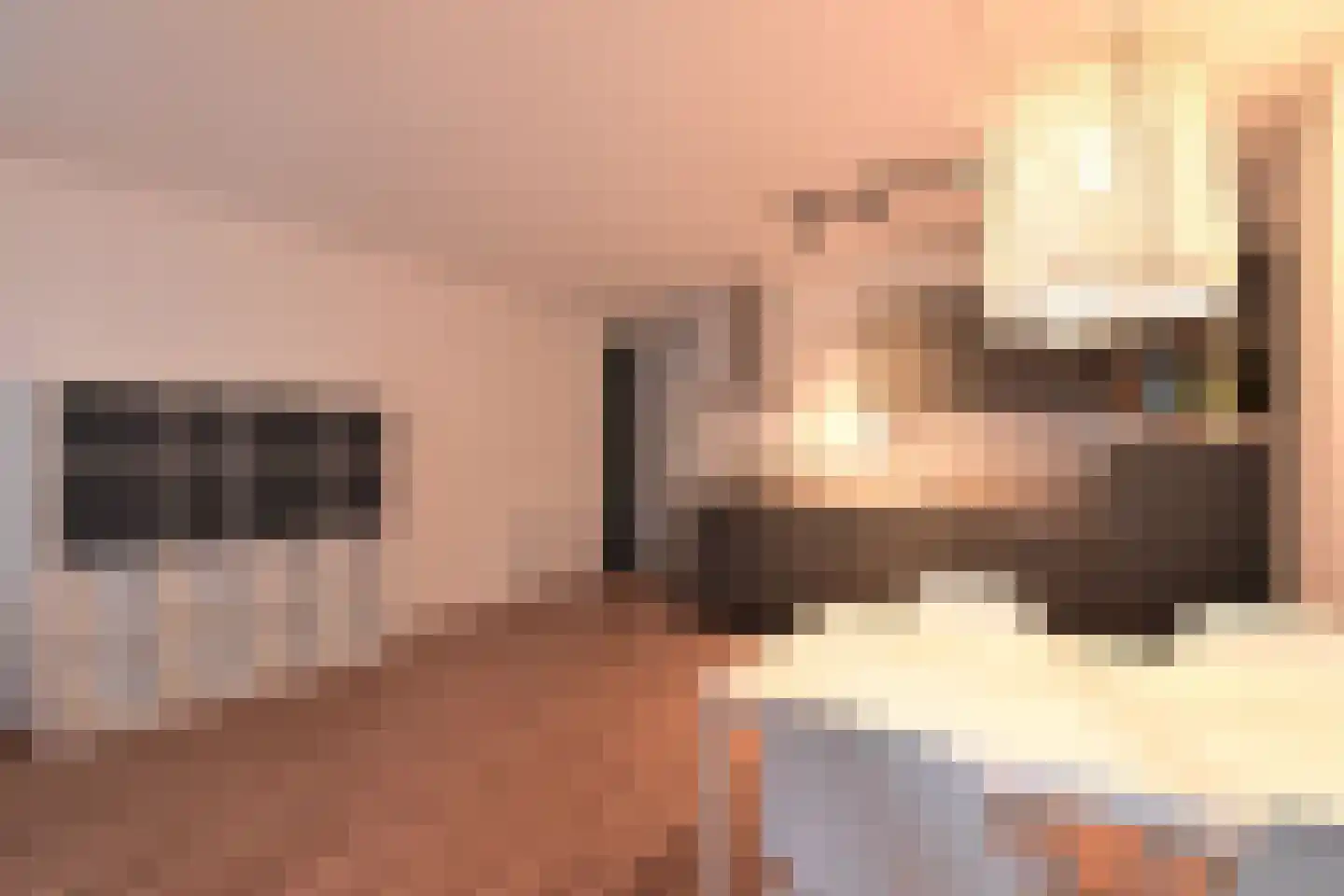 Hendrik van Tulderstraat 58 Tilburg thumbnail 5