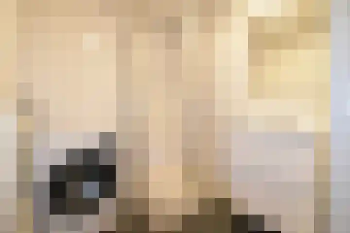 Hendrik van Tulderstraat 60 Tilburg thumbnail 12