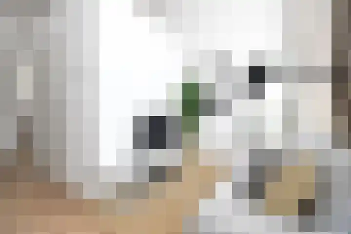 Hendrik van Tulderstraat 68 Tilburg thumbnail 5