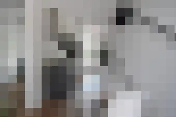 Hendrik van Tulderstraat 80 Tilburg thumbnail 6