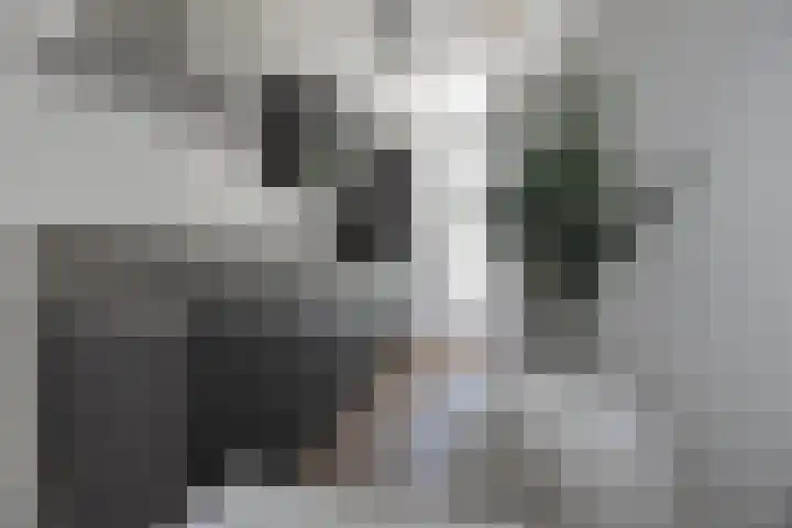 Hendrik van Tulderstraat 80 Tilburg thumbnail 7