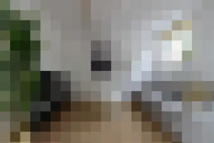 Hendrik van Tulderstraat 86 Tilburg thumbnail 4