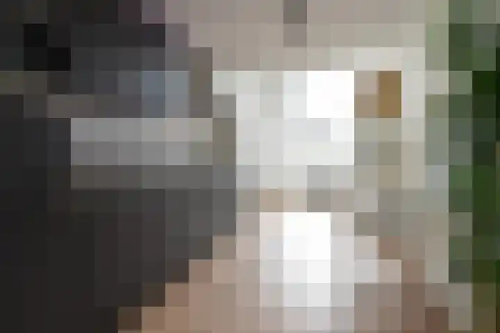 Hendrik van Tulderstraat 86 Tilburg thumbnail 5
