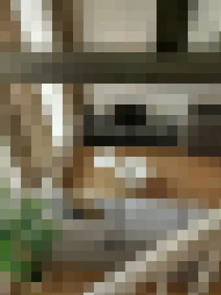 Hendrik van Tulderstraat 88 Tilburg thumbnail 4