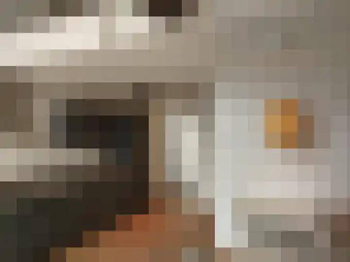 Hendrik van Tulderstraat 88 Tilburg thumbnail 5