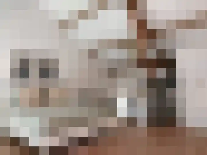 Hendrik van Tulderstraat 88 Tilburg thumbnail 6