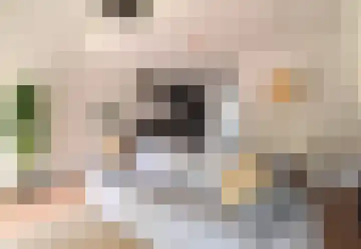Hendrik van Tulderstraat 92 Tilburg thumbnail 5