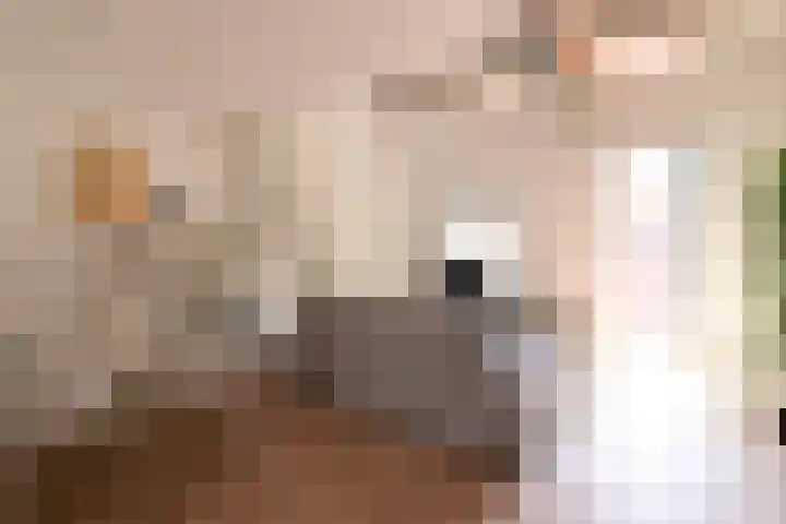Hendrik van Tulderstraat 92 Tilburg thumbnail 7