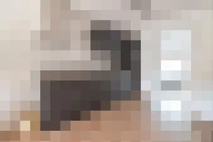 Hendrik van Tulderstraat 92 Tilburg thumbnail 8